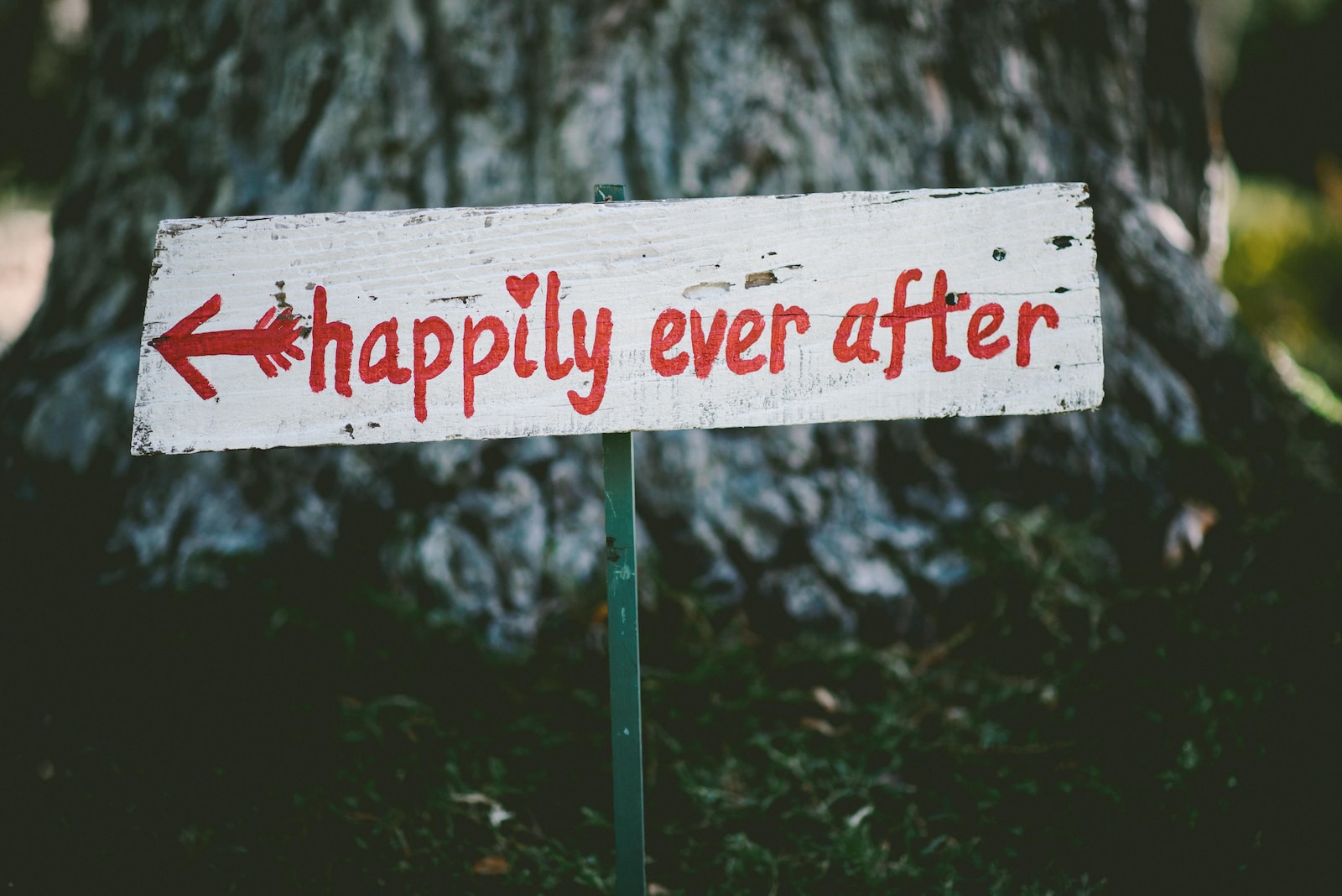 The Single vs. Relationship Dilemma: What to Consider